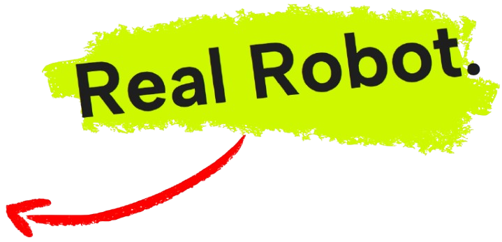Real robot overlay